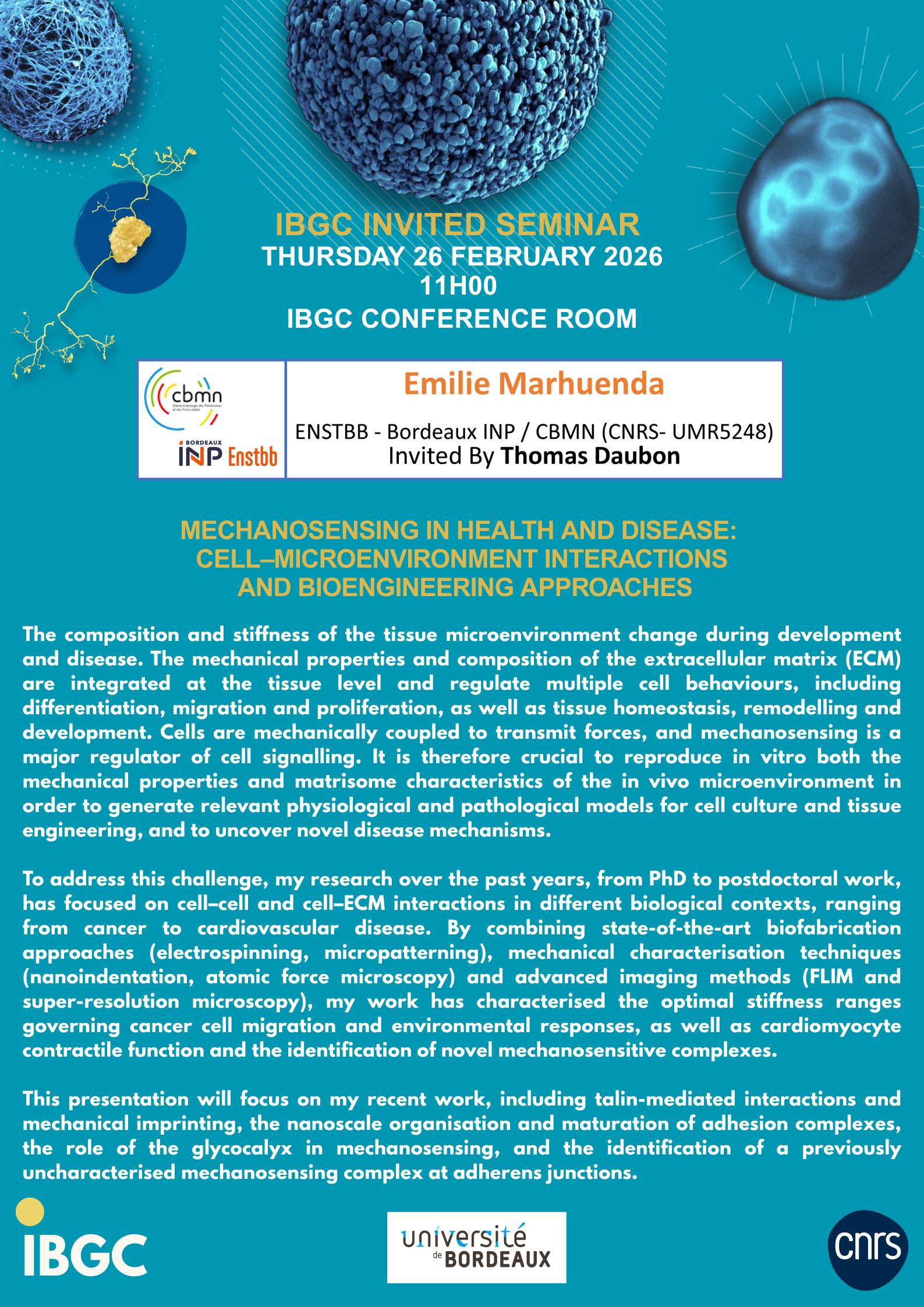 INVITED SEMINAR IBGC_Emilie Marhuenda_TeamDaubon_26february_11am.png