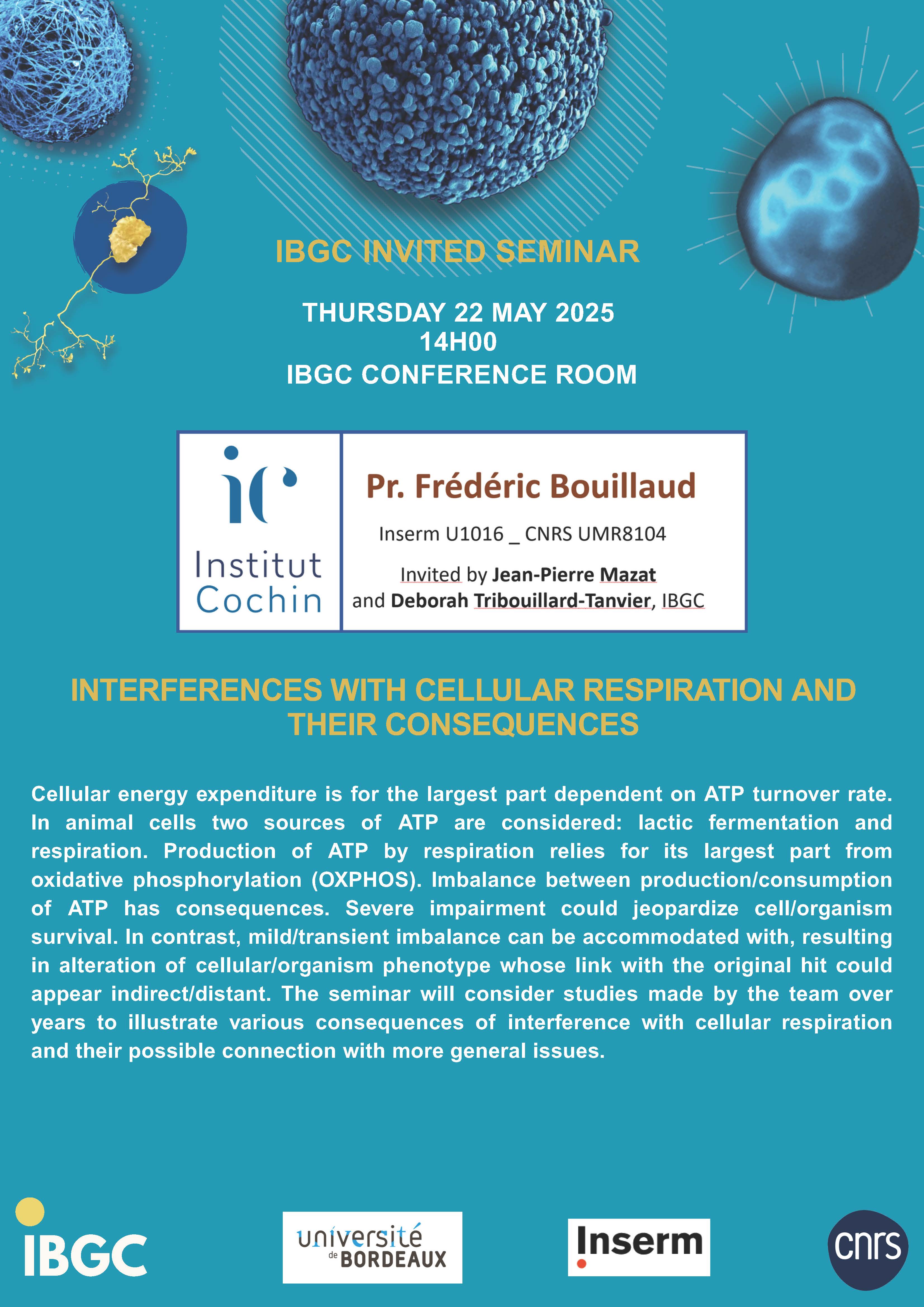 INVINTED SEMINAR IGBC _ Frédéric Bouillaud.jpg
