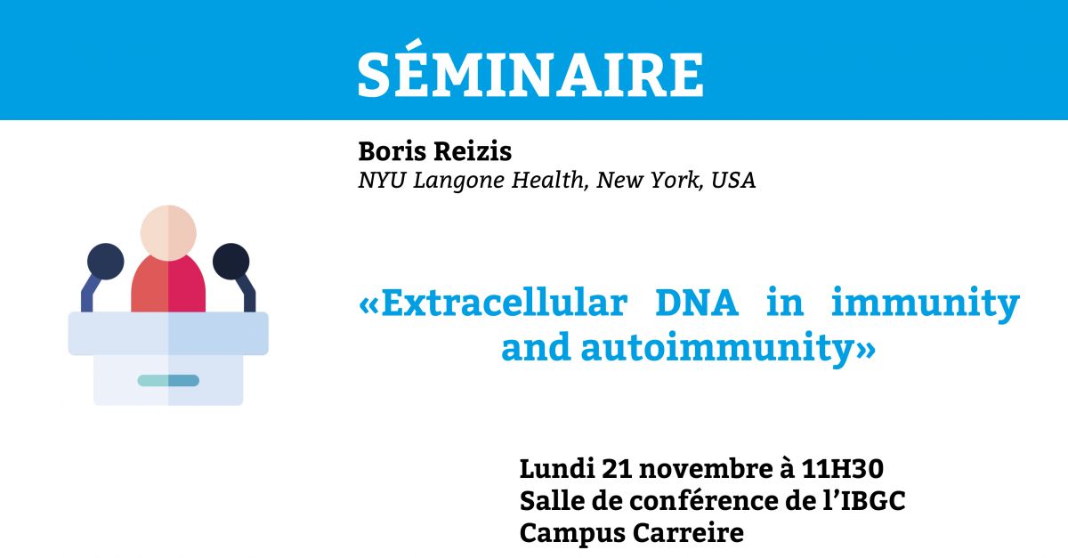 Séminaire de Boris Reizis : 