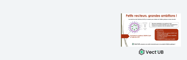 VectUB élargit ses services : un nouvel outil de transfert non intégratif basé sur le système CRISPR-Cas9