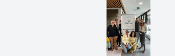 CRISPR-Cas9 : mieux comprendre les effets secondaires pour sécuriser les thérapies géniques